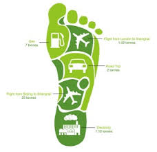 reduce carbon footprint